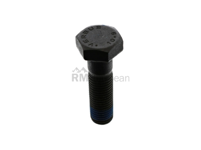 Mercedes Brake Caliper Bolt ATE 1244210471