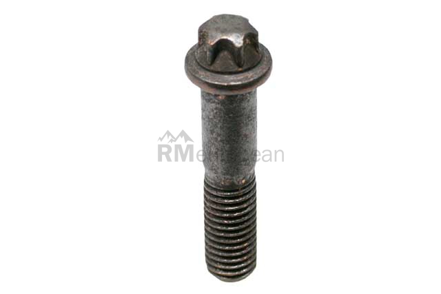 BMW Torx Bolt Genuine BMW 11621318568