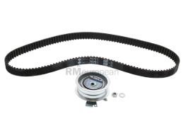 VW-Audi Timing Belt Kit INA 06A198119D