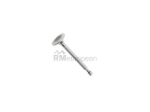 Porsche Intake Valve German PCG54605203