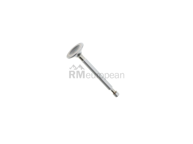 Porsche Intake Valve German PCG54605203