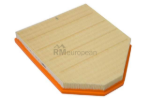 BMW Air Filter Mann Filter 13717601868