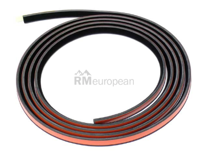 BMW Sunroof Seal Genuine BMW 54128169710