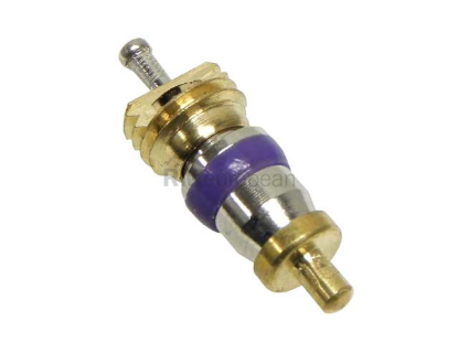 VW-Audi A/C Schrader Valve Core Santech 8E0820855
