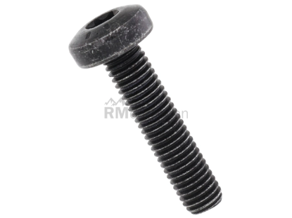 Saab Valve Cover Bolt Genuine Saab 92151832