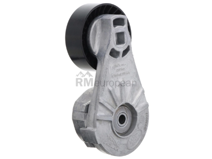 Jaguar Drive Belt Tensioner Genuine Jaguar C2D45642