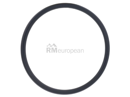 BMW Turbocharger O-ring Genuine BMW 11657850067