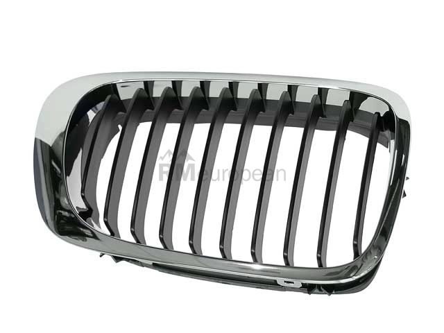 BMW Grille Genuine BMW 51138208684