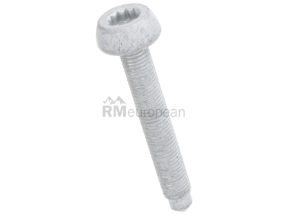 VW-Audi Strut Bolt febi bilstein N90954802