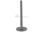 Mercedes Intake Valve TRW 1110532101