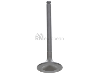 Mercedes Intake Valve TRW 1110532101