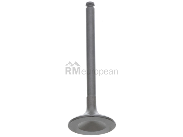 Mercedes Intake Valve TRW 1110532101
