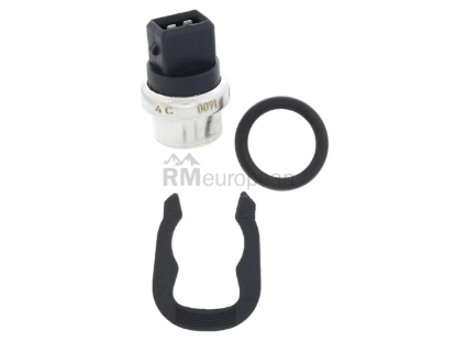 VW-Audi Temperature Sensor Hella 251919501D
