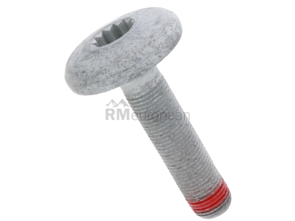 VW-Audi Axle Bolt O.E.M. WHT007150