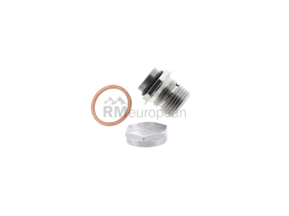 BMW Engine Oil Drain Plug AGA 095560300