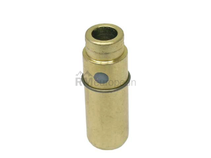 Mercedes Valve Guide Canyon 1030502224