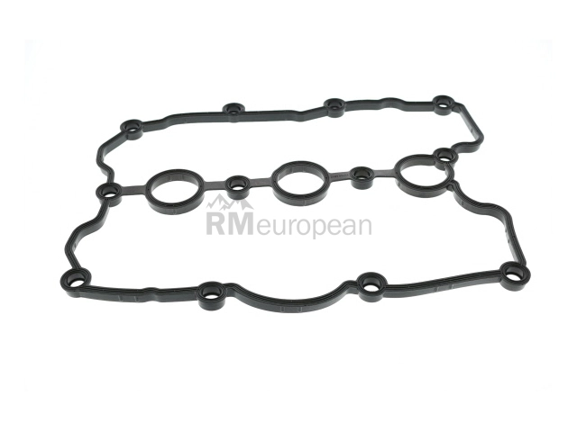 Valve Cover Gasket Victor Reinz 713895800