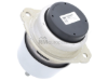 VW-Audi Engine Mount Corteco 7P6199131