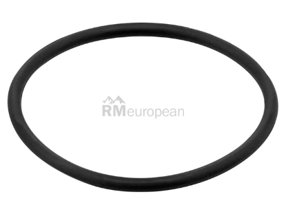 BMW O-Ring Elring Klinger 11667794767