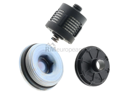 VW-Audi Oil Filter Borg Warner 02D598574