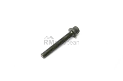 BMW Bolt Genuine BMW 11361432438