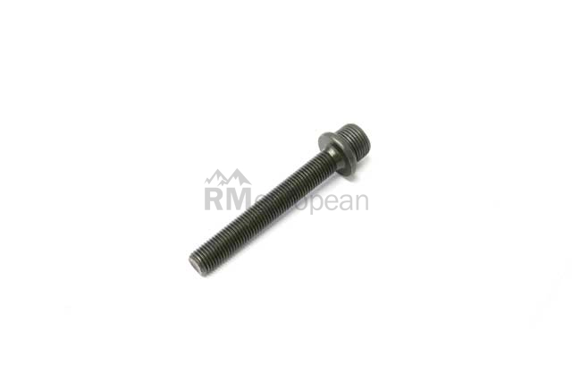 BMW Bolt Genuine BMW 11361432438