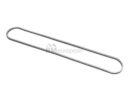 Timing Chain Iwis 50046788