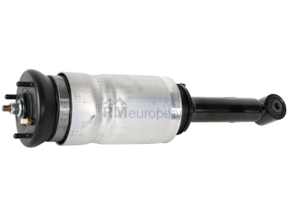 Land Rover Shock Absorber BWI RNB501580