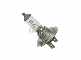 Bulb Osram-Sylvania H7LL