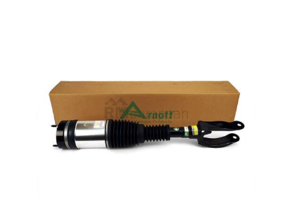 Mercedes Air Suspension Strut Arnott Industries 1663205066