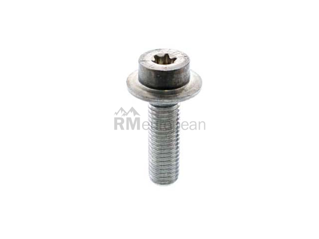 BMW Bolt Genuine BMW 32427556159