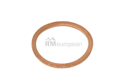 BMW Gasket Ring Victor Reinz 07119963342