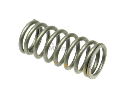 BMW Valve Spring Genuine BMW 11341706584
