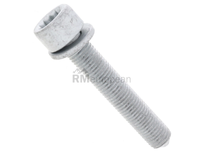 VW-Audi Engine Mount Bolt Genuine VW/Audi N91275001