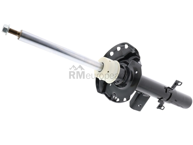 Land Rover Shock Absorber BWI LR031668