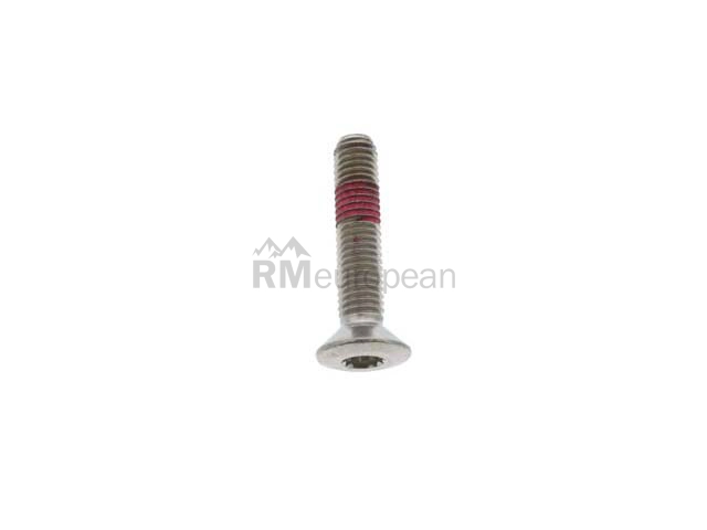 Porsche Striker Plate Bolt O.E.M. 99921900800