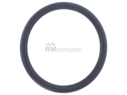 BMW Water Hose O-Ring Genuine BMW 11537603660