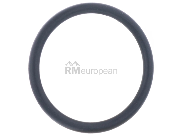 BMW Water Hose O-Ring Genuine BMW 11537603660