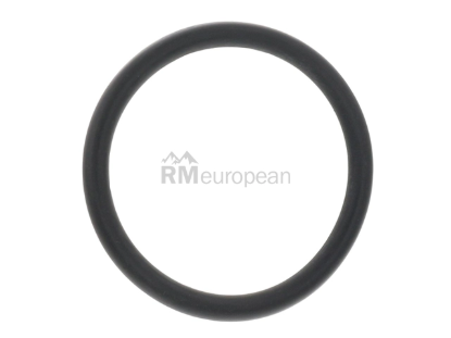 Porsche Water Hose O-Ring Genuine Porsche N90933101