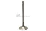 VW-Audi Intake Valve TRW 06D109601M