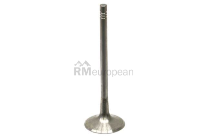VW-Audi Intake Valve TRW 06D109601M