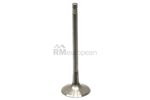 VW-Audi Intake Valve TRW 06D109601M
