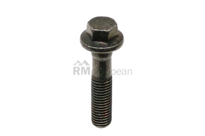 Volvo Bolt Genuine Volvo 982844