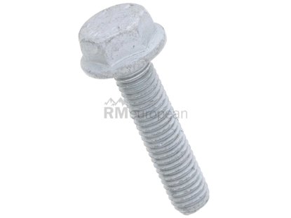 Porsche Bearing Retainer Bolt Genuine Porsche N10806301