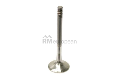 VW-Audi Exhaust Valve TRW 028109611G
