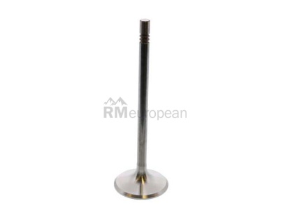 Porsche Exhaust Valve TRW 99610527304