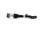 Mercedes Air Suspension Strut Arnott Industries 1663200400