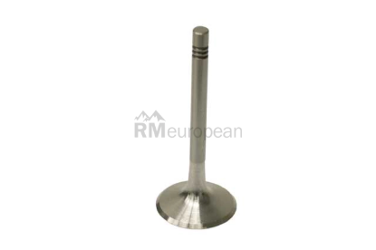 Porsche Intake Valve TRW 91110541120