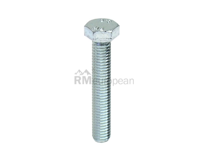 Hex Head Bolt Auveco 14406