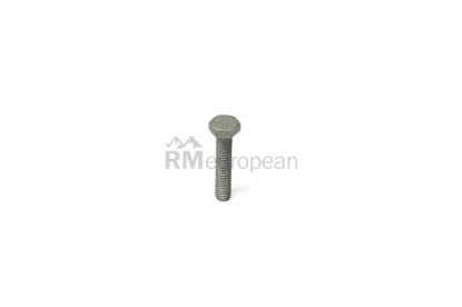 VW-Audi Bolt Victor Reinz 058145540